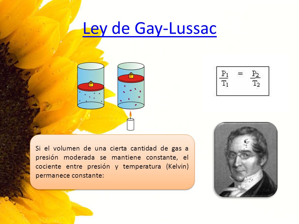 houston tx gay bathhouse from Hendrix biografia de gay lussac